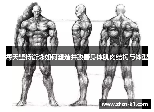 每天坚持游泳如何塑造并改善身体肌肉结构与体型